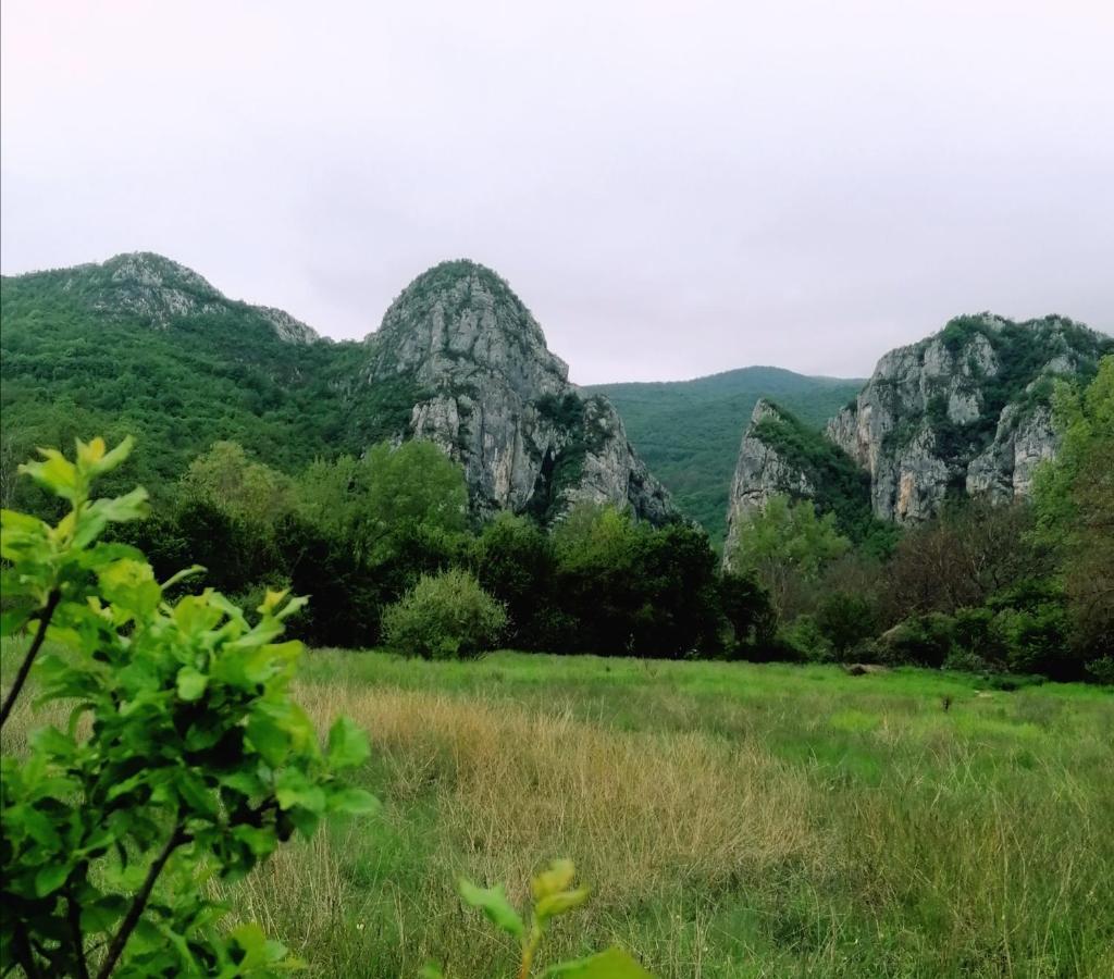 Konak Jerma Pirot Extérieur photo