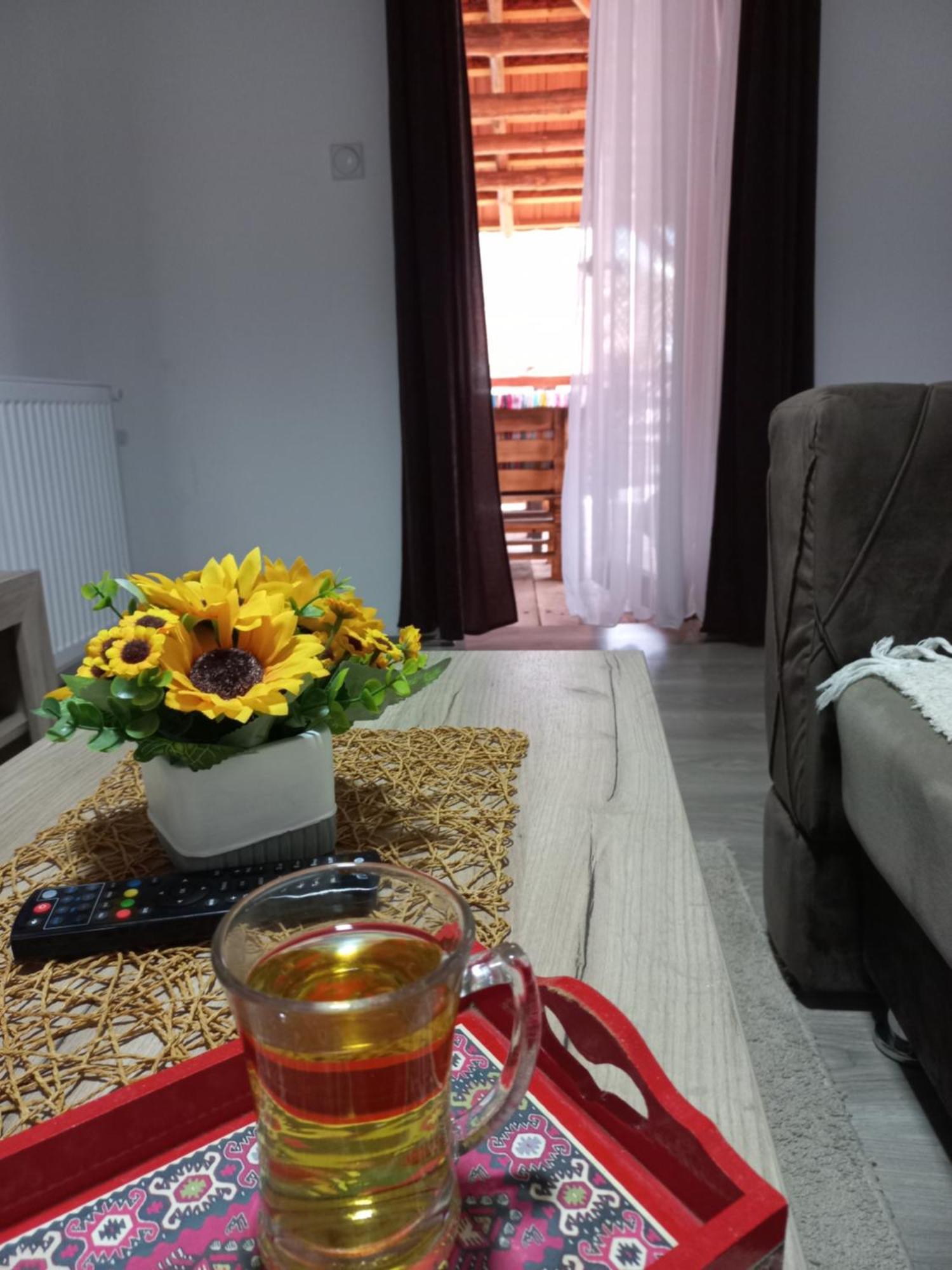 Konak Jerma Pirot Extérieur photo